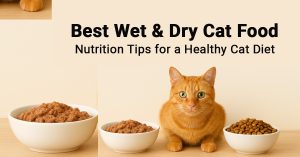 Best Wet & Dry Cat Food Nutrition Tips for a Healthy Cat Diet