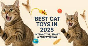 Best Cat Toys in 2025 | Interactive, Smart & Entertaining Cat Pl
