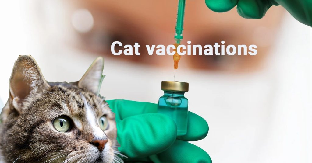 Cat vaccinations, Cat health care, Feline vaccines,